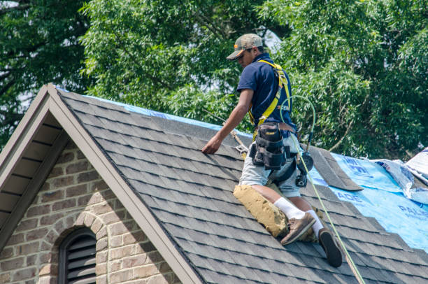 Best Shingle Roofing Installation  in Tryon, NC